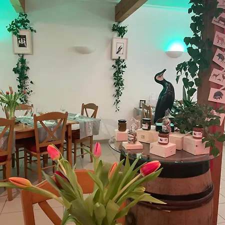 Han/Misafirhane Le Matagot Auberge-restaurant *